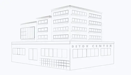 Heel to Toe IoniCleanse - Detox